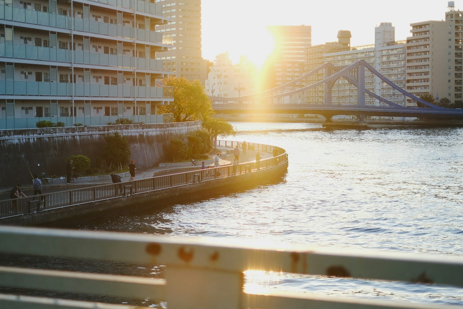 夕暮れの川と橋、清澄白河周辺の水辺の街並み
