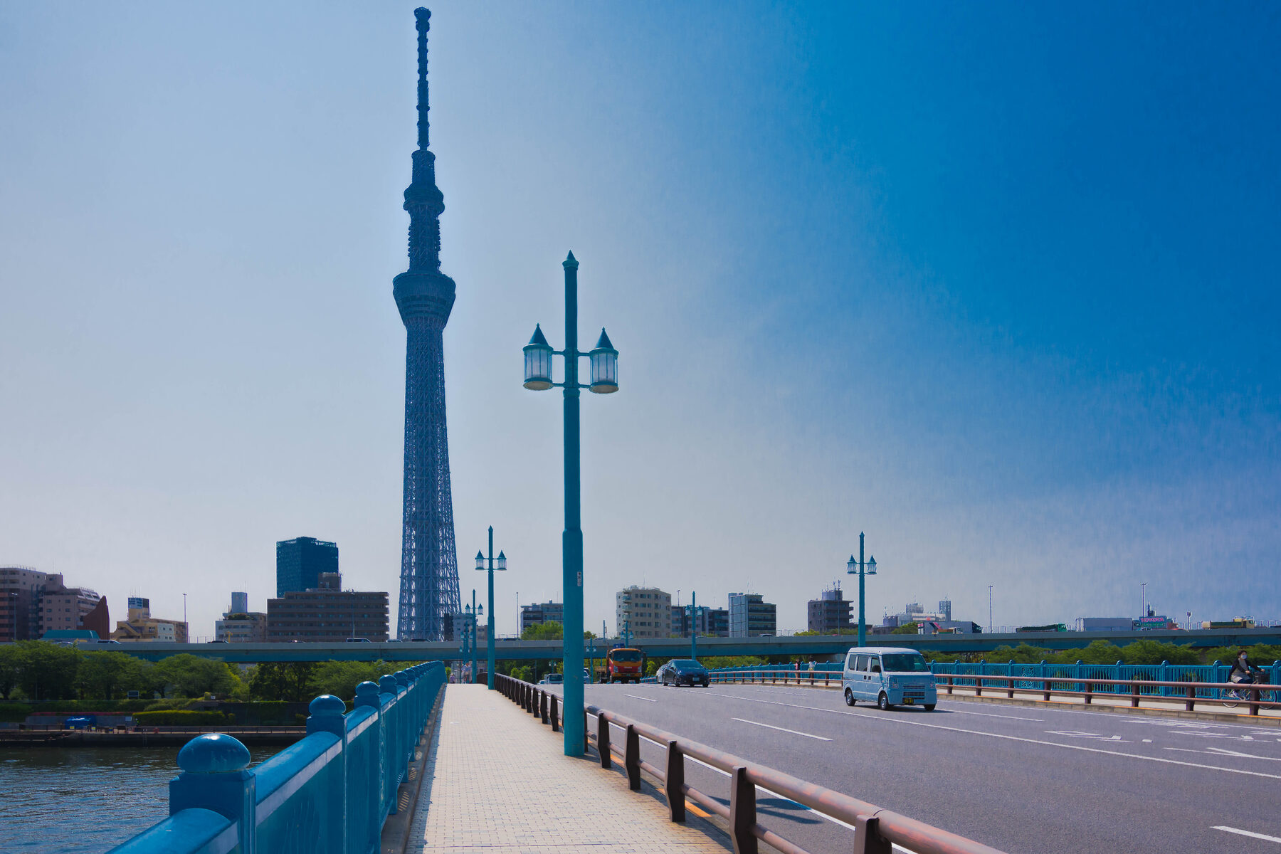 街並み越しに見える東京スカイツリー